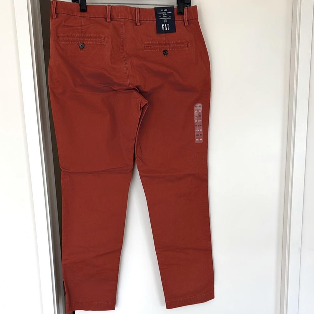 GAP Rust Orange Chinos